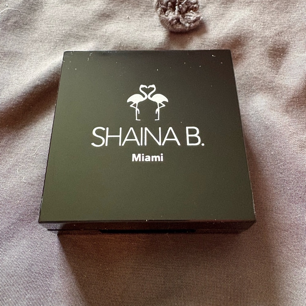 Bellini Black Compact Blush Case
